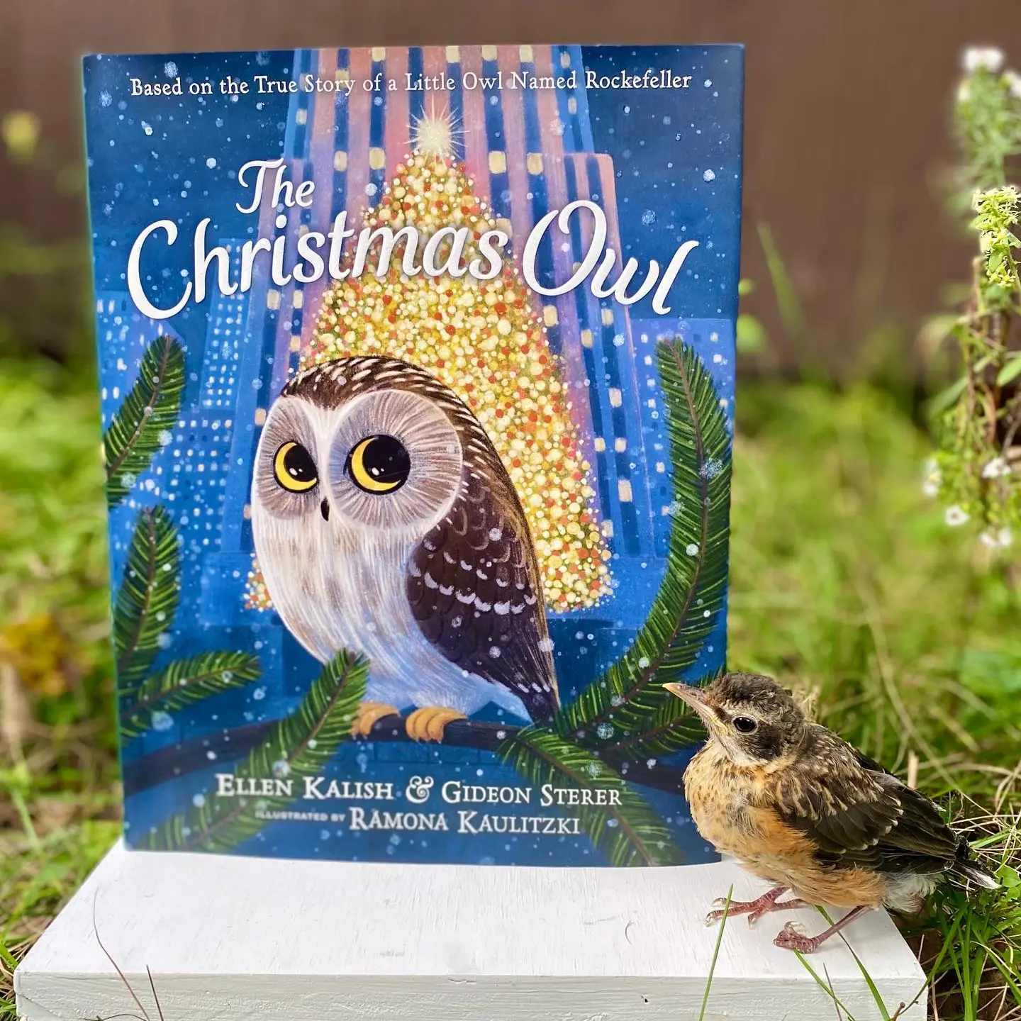 Cover of 'The Christmas Owl' with the subtitle "Based on the True Story of a Little Owl Named Rockefeller". The book sits on a wooden platform with greenery behind, and a small birds sits bottom right.
