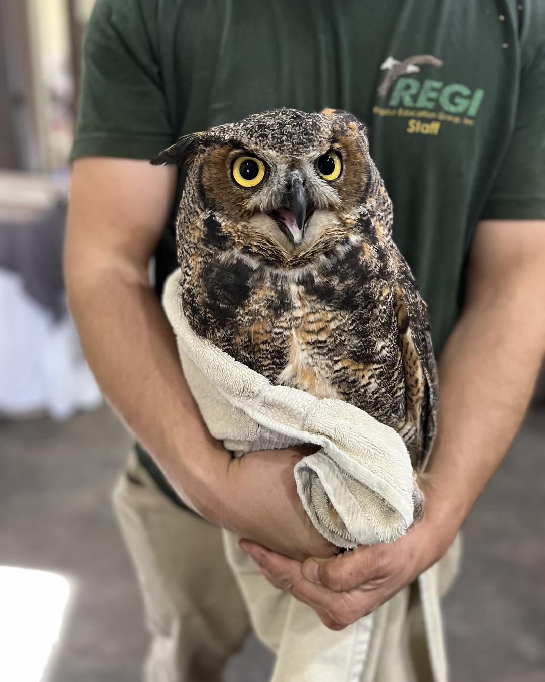 Guys I Think We’ve Peaked