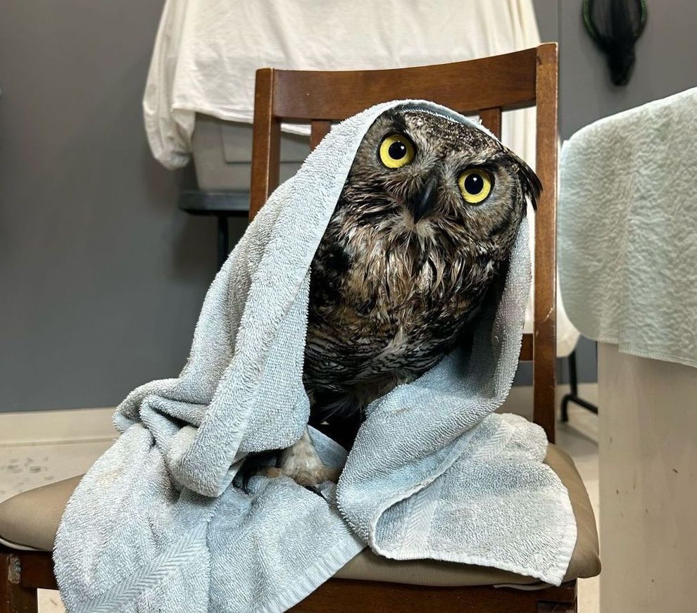 A+ facilities would stay again